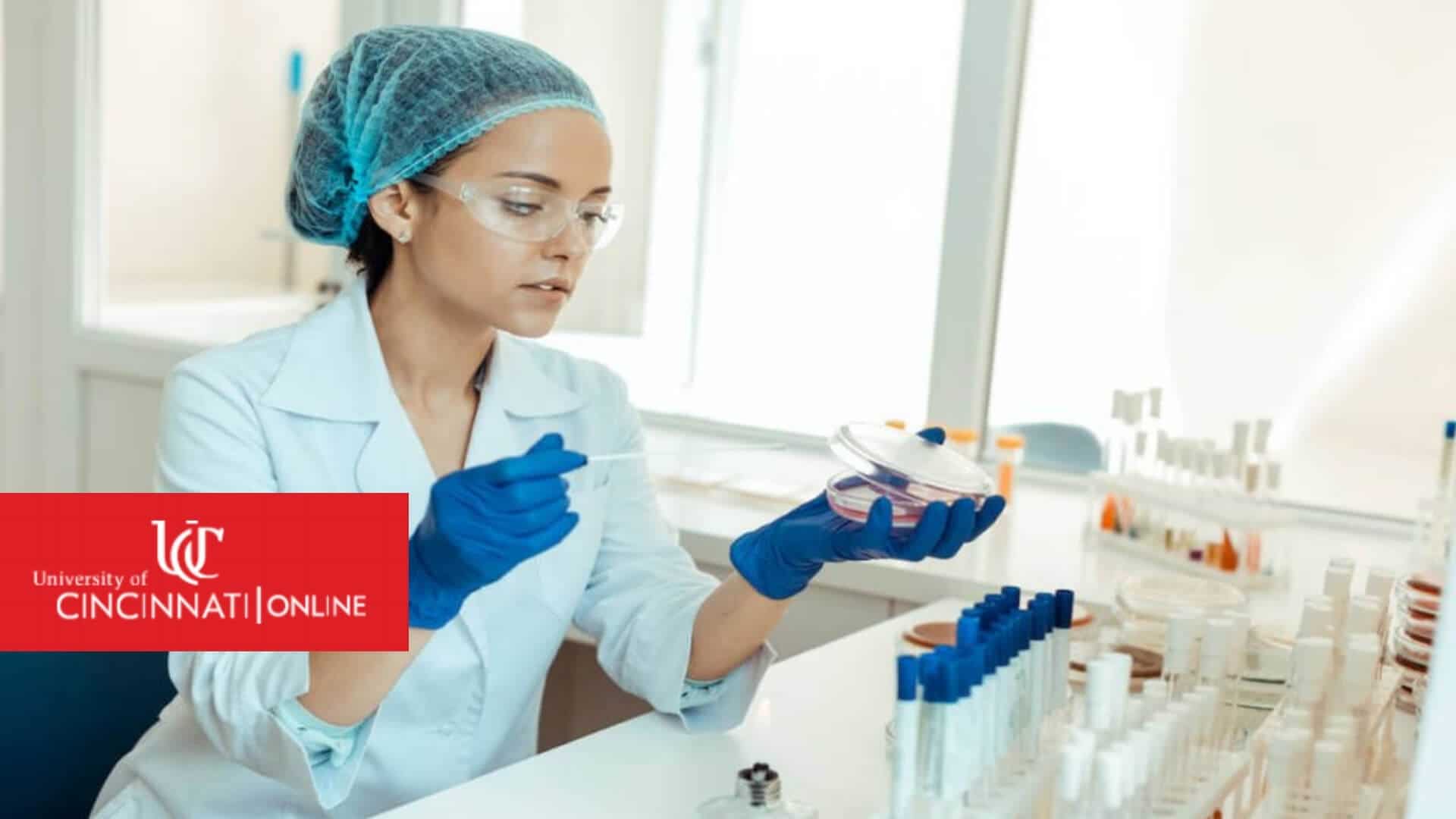 Medical Laboratory Scientist examining Petri dish