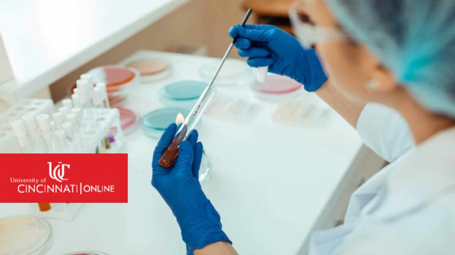 Bachelor of Science in Medical Laboratory Science|UC Online