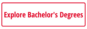 Explore Bachelor's Degrees
