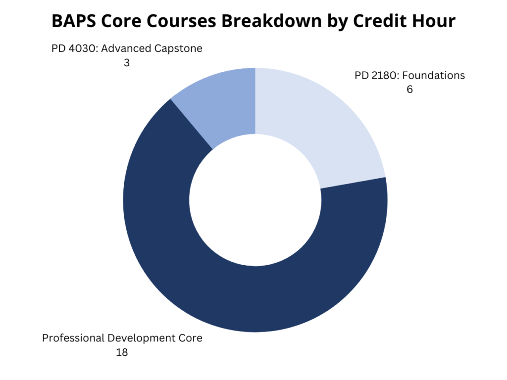 The entire professional studies foundation courses core