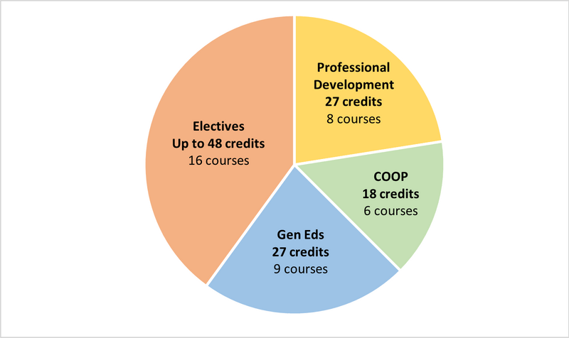 The Professional Studies curriculum breakdown pie chart
