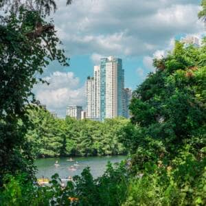 Photo of Austin, Texas with trees in the forefront.