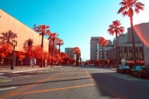 Stylized photo of a street in San Jose lined with red palm trees.
