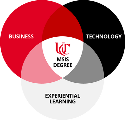 Business, Technology, and Experiential learning all intersect in the MSIS degree