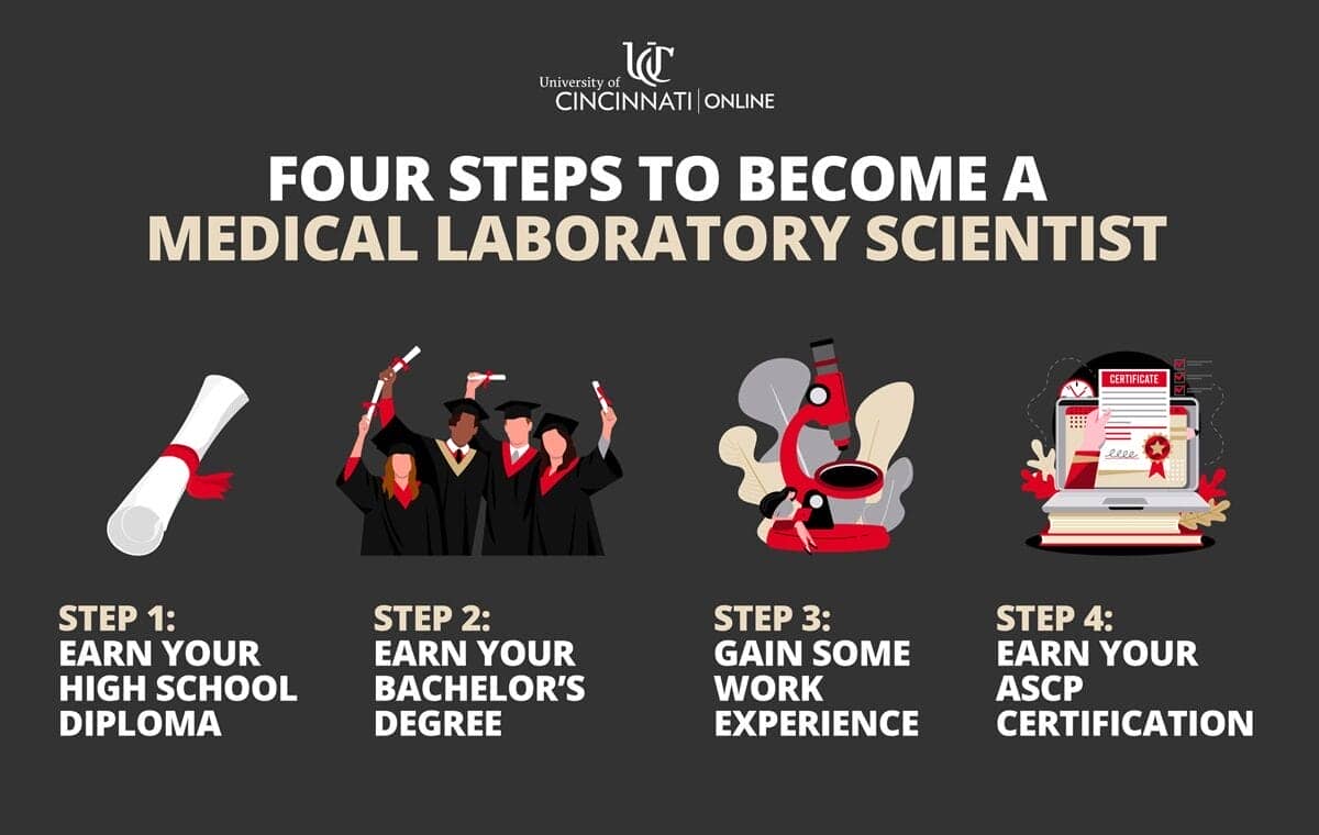 Infographic showing the four steps needed to become a medical laboratory scientist