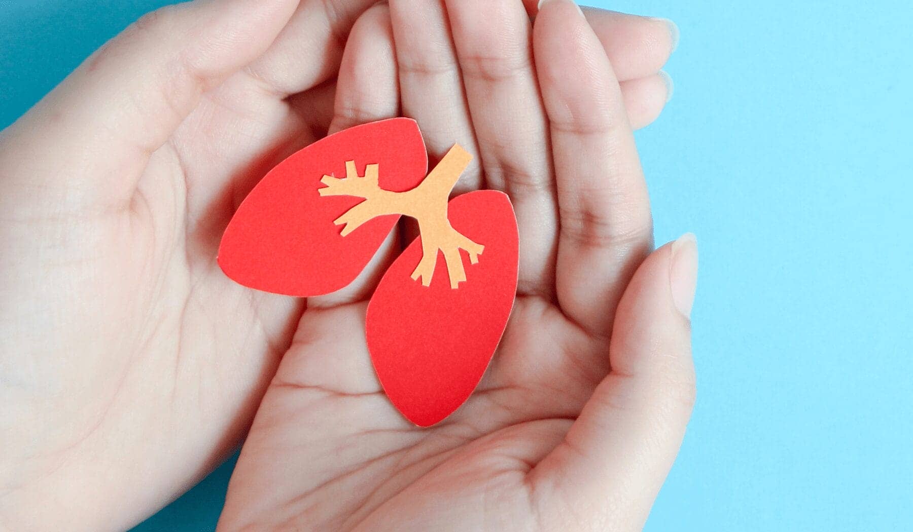 Hands holding a paper set of lungs.