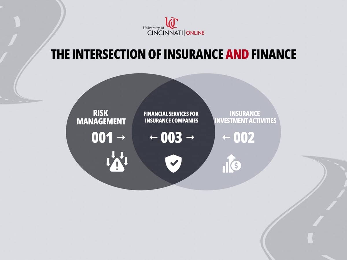 Infographic showing part of the overlap between insurance and finance